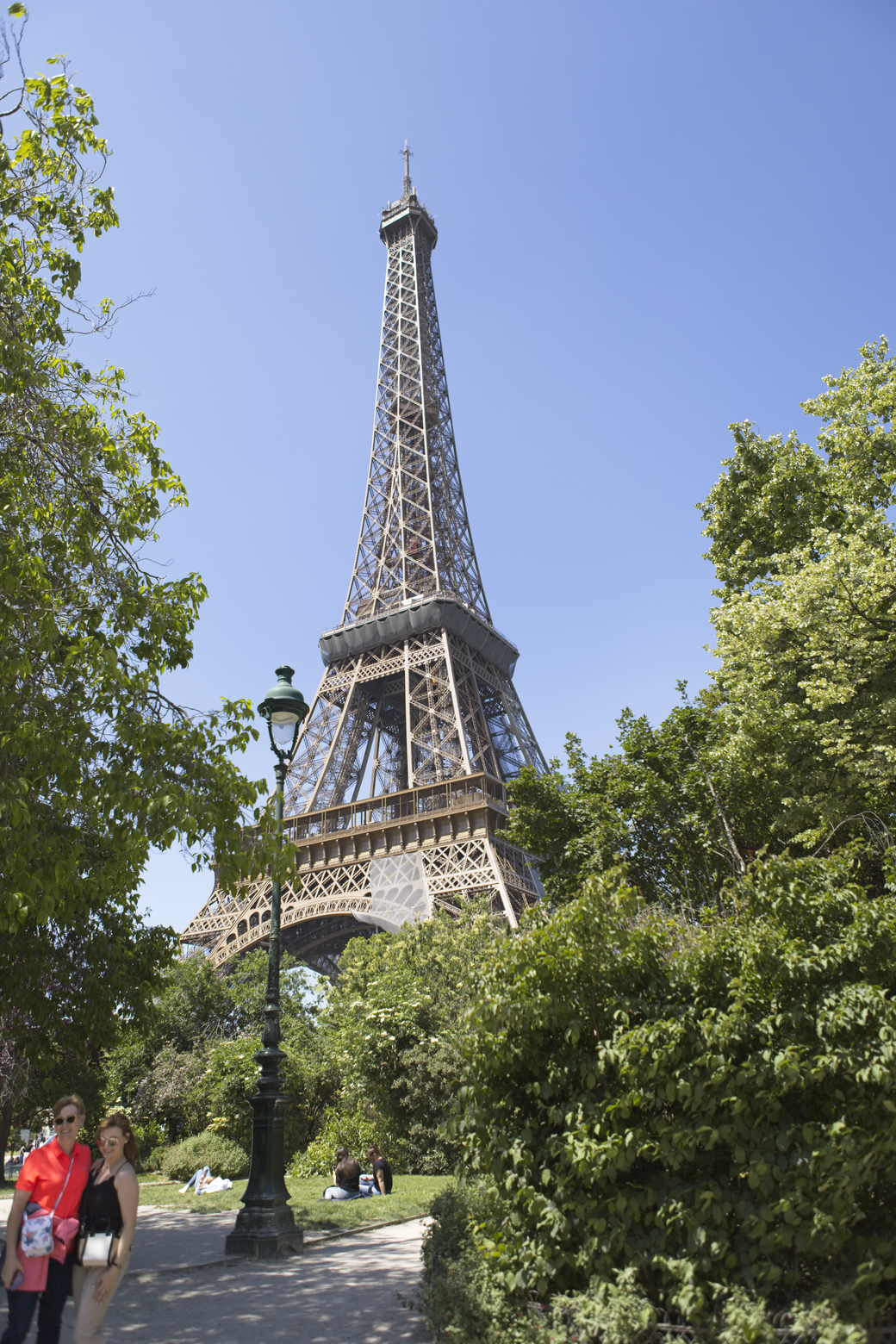 A scenic, daytime photograph capturing the Eiffel Tower against a clear blue sky. The iconic landmark is framed by abundant, lush green foliage in the foreground, giving the view a natural, park-like atmosphere, with a paved path visible leading toward the structure.