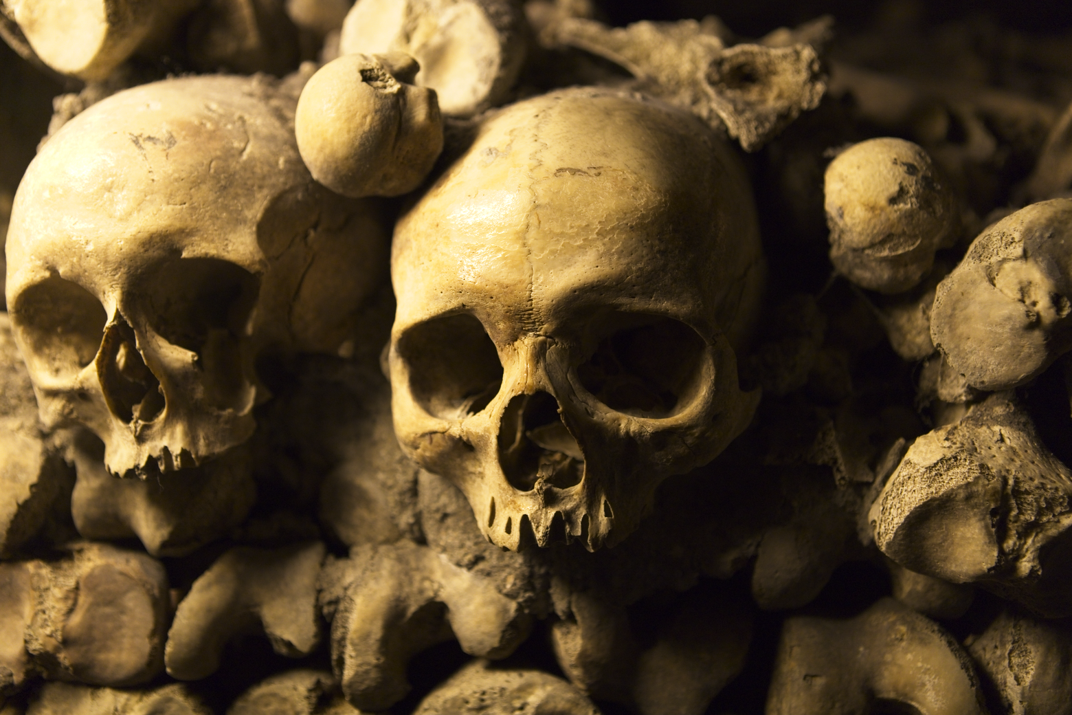 A darkly lit, high-density photograph featuring a massive pile of human skulls and assorted skeletal remains, creating a stark and macabre visual representation of mortality.
