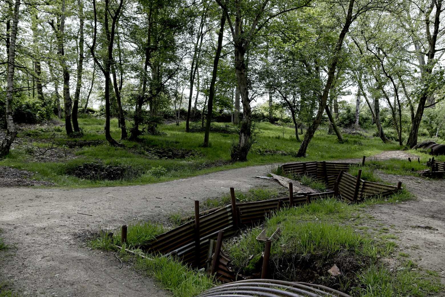 A natural scene depicting a dirt path leading through a temperate woodland. The path is bordered by rustic wooden fencing, and the background is filled with lush green foliage and numerous trees, creating a secluded, park-like setting.