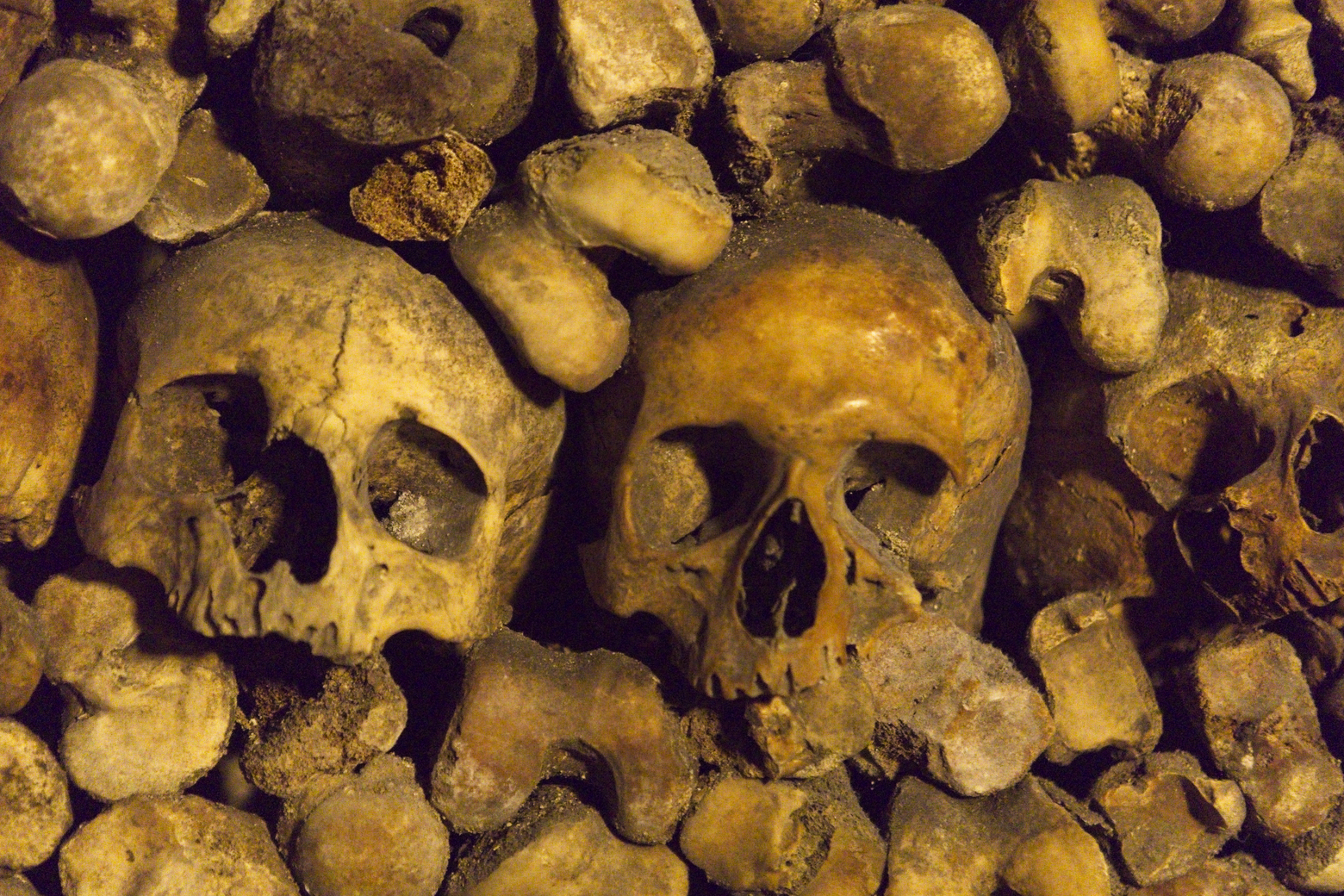 A close-up image displaying a dense, cluttered arrangement of multiple human skulls and skeletal remains, suggesting an archaeological collection or dense grouping of bones.
