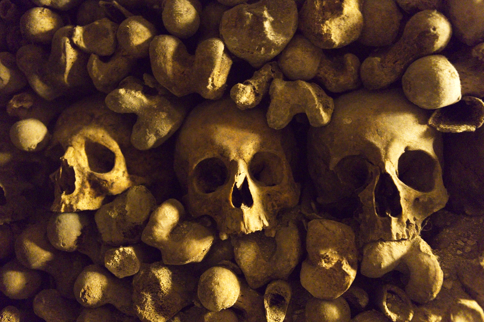 A dramatic, sepia-toned close-up photograph showing a densely packed cluster of human skulls and various bones. The arrangement suggests a mass burial or archaeological find, creating a macabre and historical mood due to the deep shadows and aged quality of the remains.