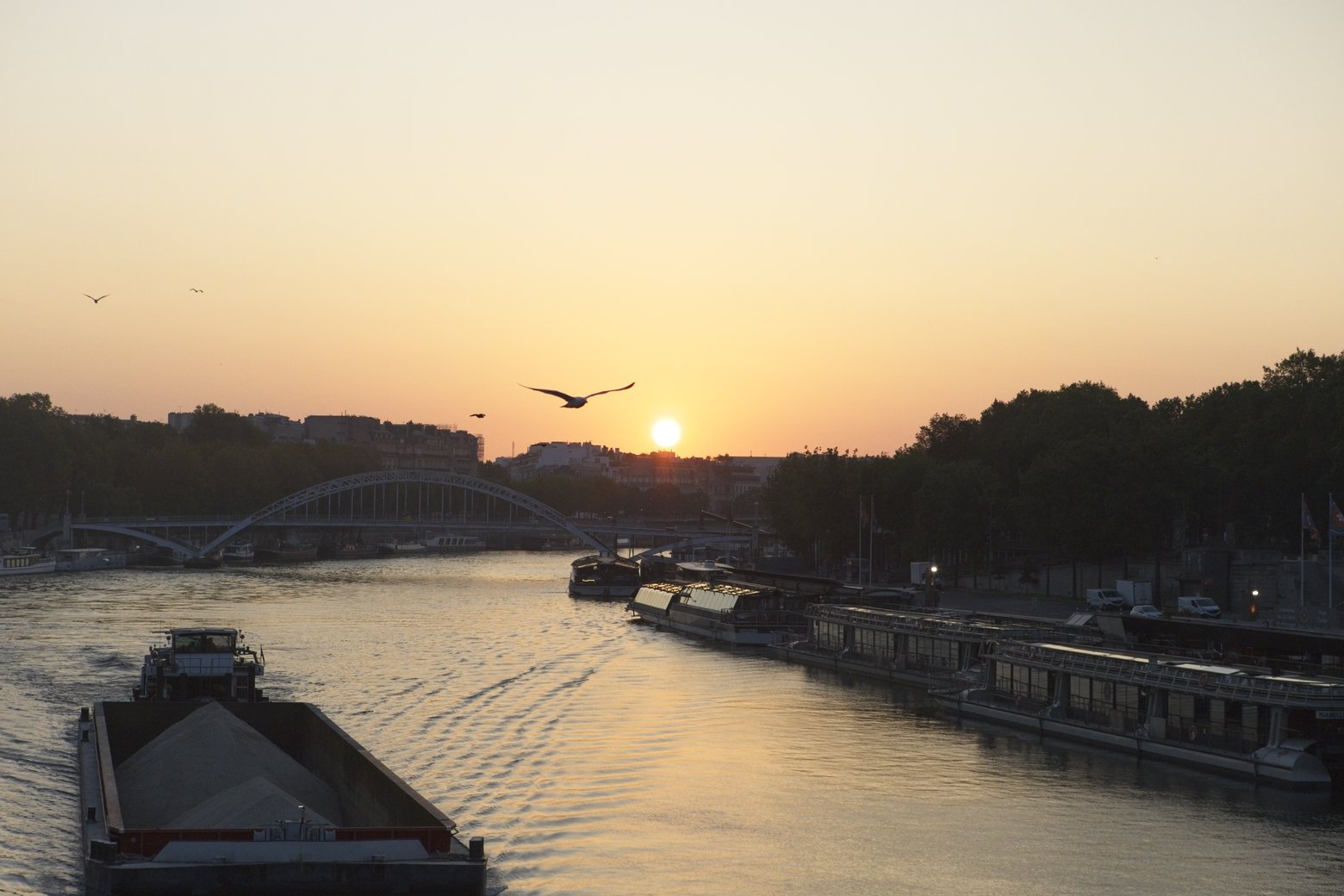 This photograph captures a serene urban scene along a wide river during golden hour (likely sunset or sunrise). The foreground is dominated by a large barge, while the middle ground features a developed waterfront and a prominent distant bridge. The entire scene is bathed in the warm, soft light of the setting sun, which casts a glow across the water and silhouettes the trees lining the far bank.