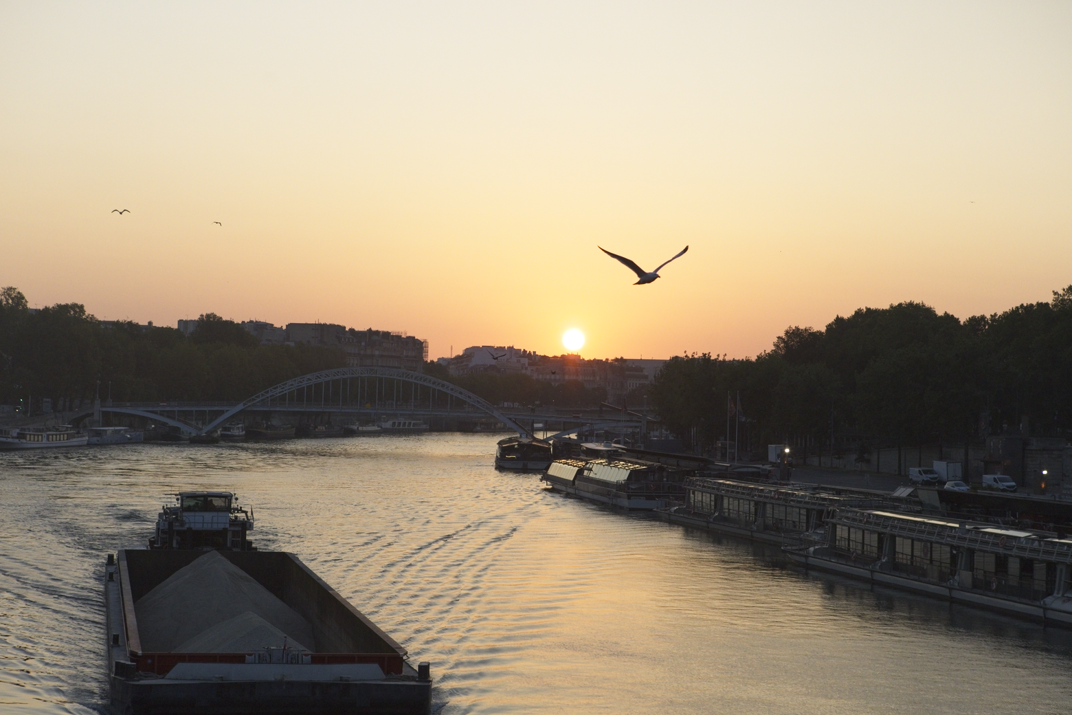 A tranquil sunset or sunrise scene over an urban river. A large barge dominates the foreground, while a bridge spans the waterway. The vibrant sky glows with warm tones around the setting sun, creating strong silhouettes of trees, buildings, and a waterfront promenade on the right bank. Birds fly across the reflective surface of the water.