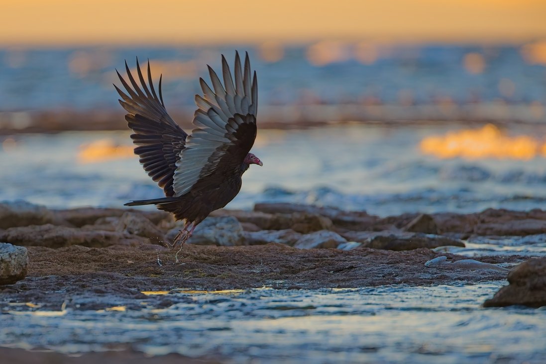'properties'